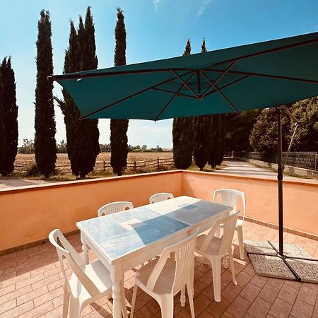 Agriturismo Santa Maria 福洛尼卡 外观 照片